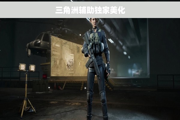 三角洲辅助独家美化