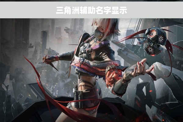 三角洲辅助名字显示
