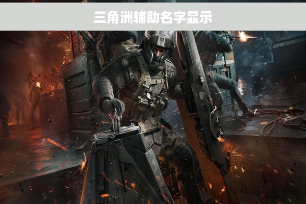 三角洲辅助名字显示