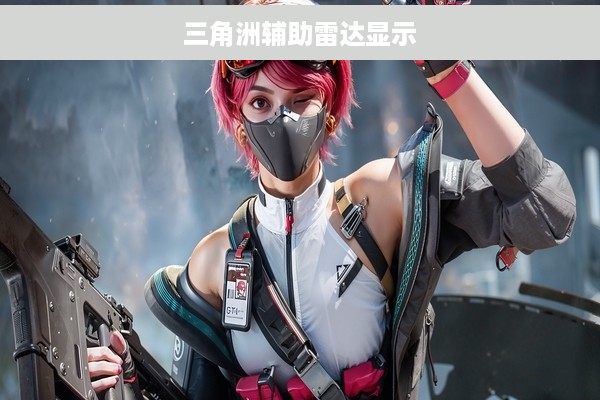 三角洲辅助雷达显示