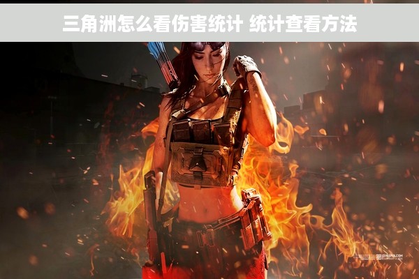 三角洲怎么看伤害统计 统计查看方法