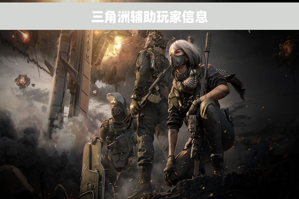 三角洲辅助玩家信息