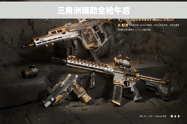 三角洲辅助全枪午后