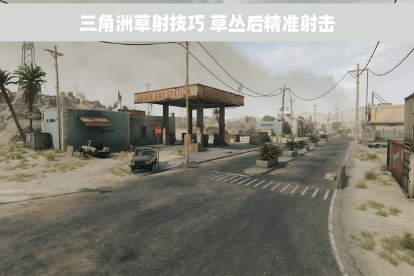 三角洲草射技巧 草丛后精准射击