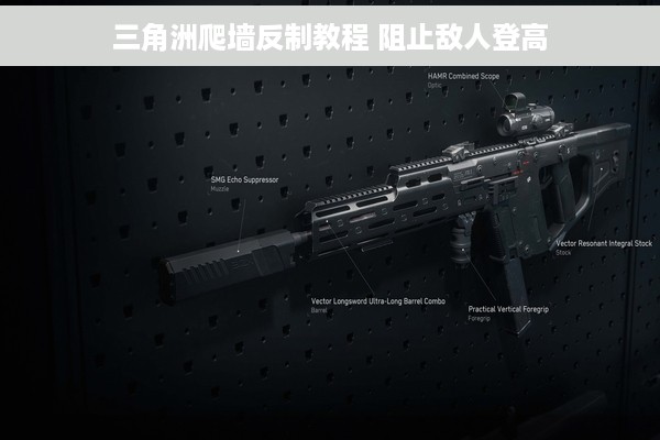 三角洲爬墙反制教程 阻止敌人登高