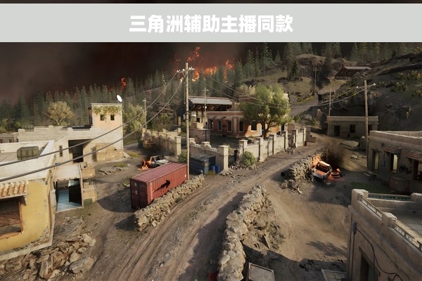 三角洲辅助主播同款