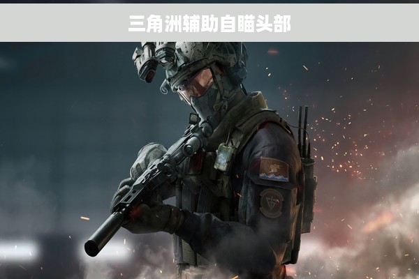 三角洲辅助自瞄头部