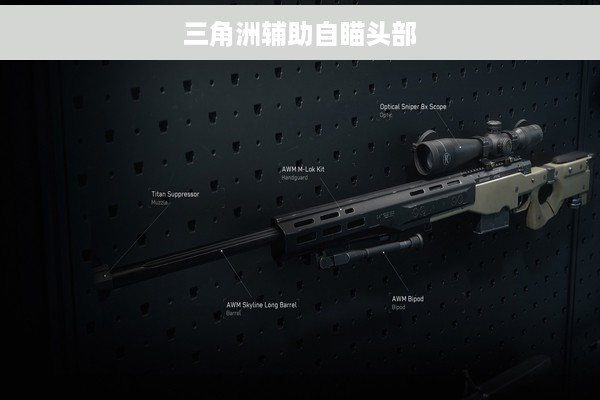 三角洲辅助自瞄头部