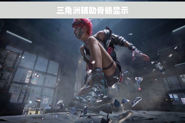 三角洲辅助骨骼显示