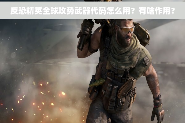 反恐精英全球攻势武器代码怎么用？有啥作用？