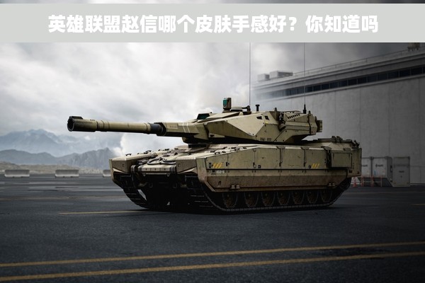 英雄联盟赵信哪个皮肤手感好？你知道吗