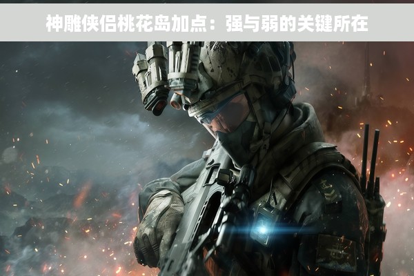 神雕侠侣桃花岛加点：强与弱的关键所在