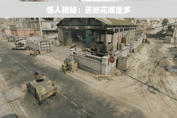 惊人揭秘：巫妖花哪里多