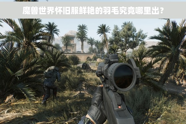 魔兽世界怀旧服鲜艳的羽毛究竟哪里出？