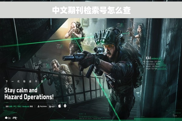 中文期刊检索号怎么查