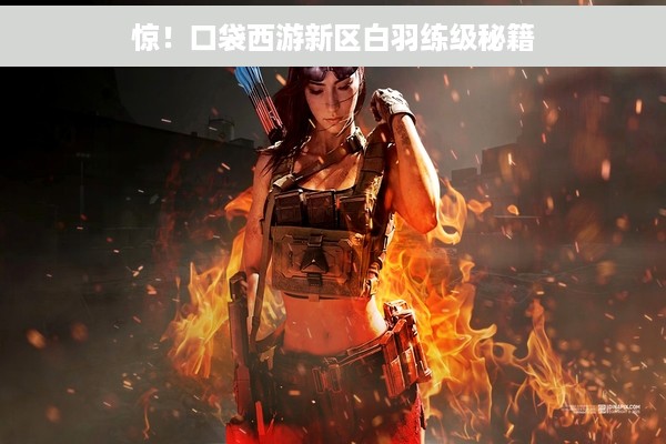 惊！口袋西游新区白羽练级秘籍