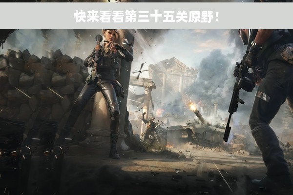 快来看看第三十五关原野！