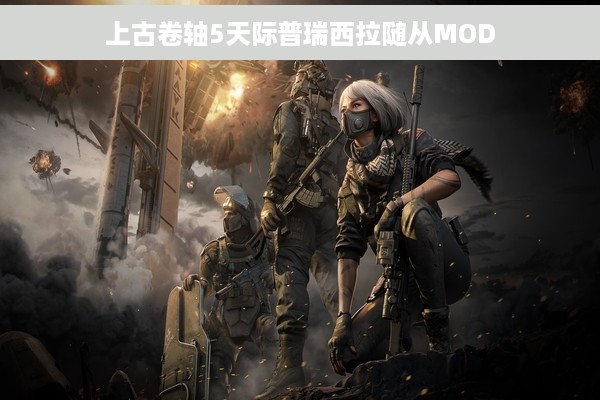 上古卷轴5天际普瑞西拉随从MOD