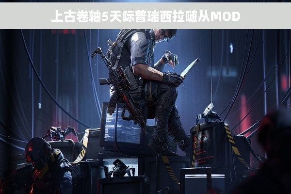 上古卷轴5天际普瑞西拉随从MOD