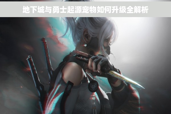 地下城与勇士起源宠物如何升级全解析