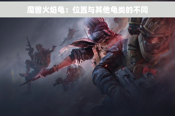 魔兽火焰龟：位置与其他龟类的不同