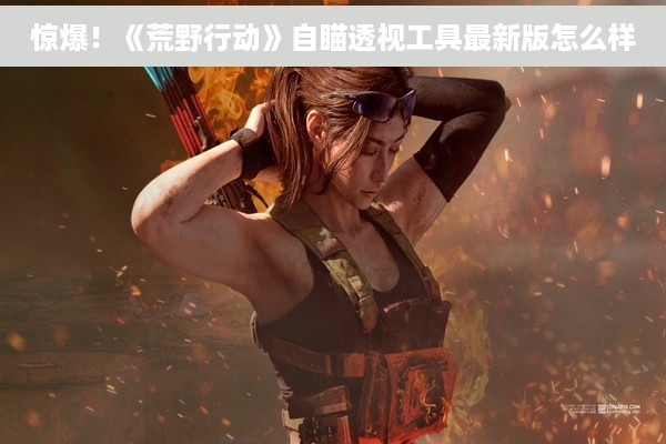 惊爆！《荒野行动》自瞄透视工具最新版怎么样