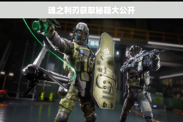 魂之利刃获取秘籍大公开