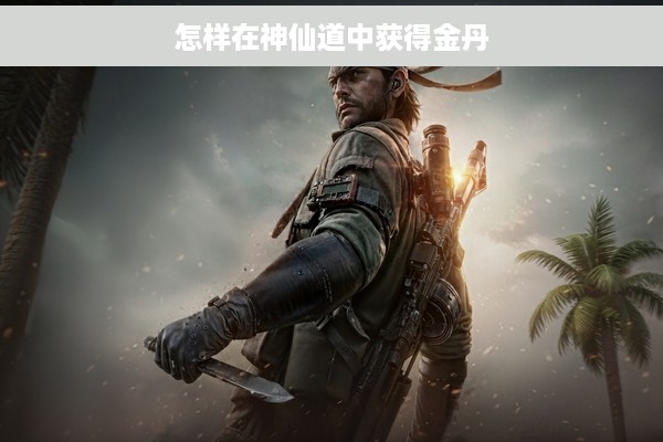 怎样在神仙道中获得金丹