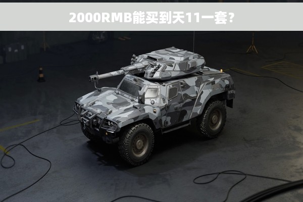 2000RMB能买到天11一套？