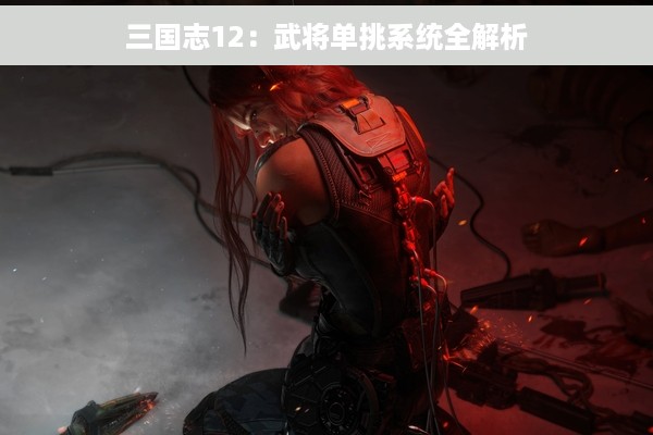 三国志12：武将单挑系统全解析