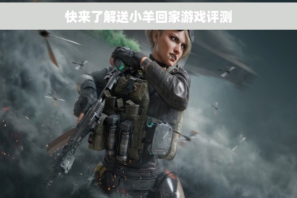 快来了解送小羊回家游戏评测