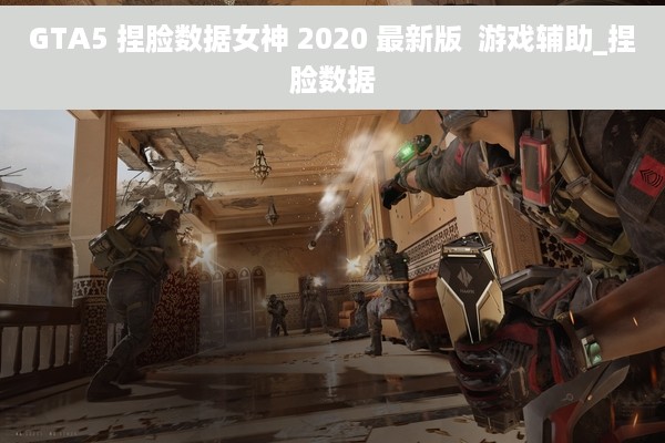 GTA5 捏脸数据女神 2020 最新版  游戏辅助_捏脸数据