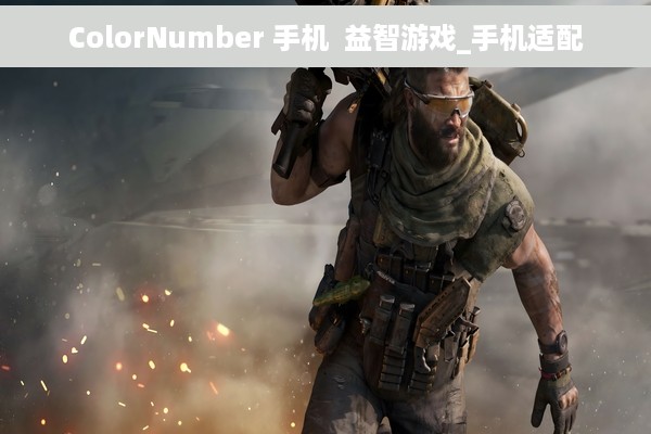 ColorNumber 手机  益智游戏_手机适配
