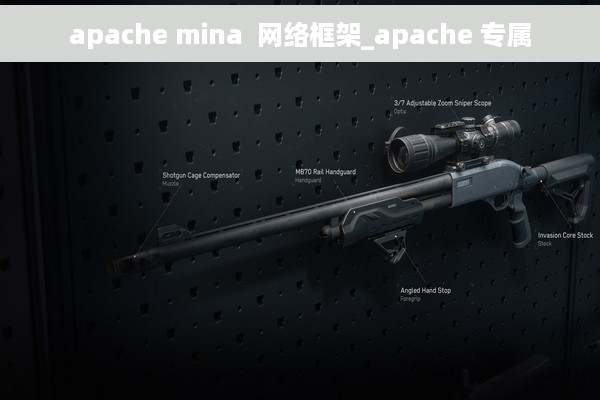 apache mina  网络框架_apache 专属