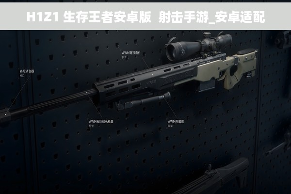 H1Z1 生存王者安卓版  射击手游_安卓适配