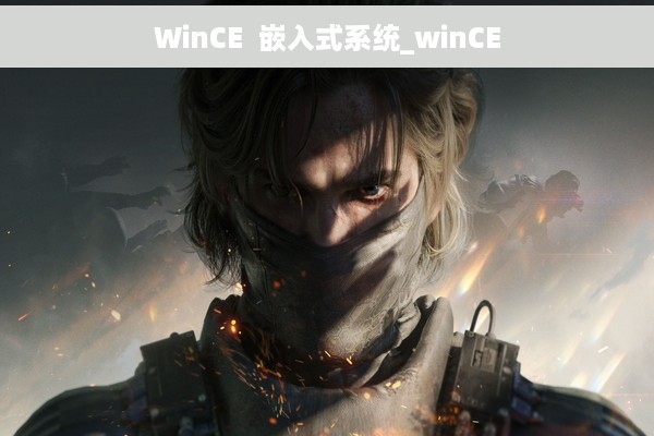 WinCE  嵌入式系统_winCE
