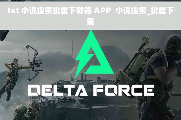txt 小说搜索批量下载器 APP  小说搜索_批量下载