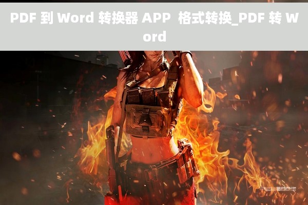 PDF 到 Word 转换器 APP  格式转换_PDF 转 Word