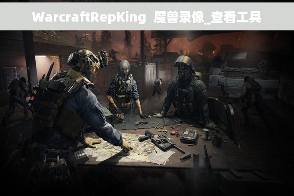 WarcraftRepKing  魔兽录像_查看工具