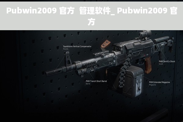 Pubwin2009 官方  管理软件_ Pubwin2009 官方