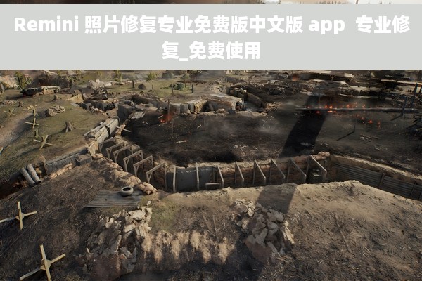 Remini 照片修复专业免费版中文版 app  专业修复_免费使用