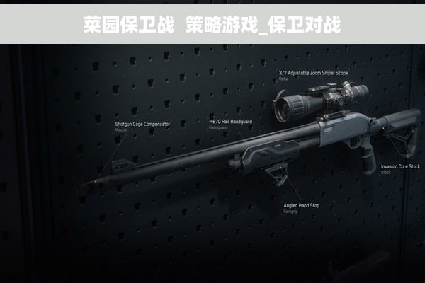 菜园保卫战  策略游戏_保卫对战