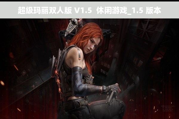 超级玛丽双人版 V1.5  休闲游戏_1.5 版本