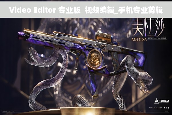 Video Editor 专业版  视频编辑_手机专业剪辑