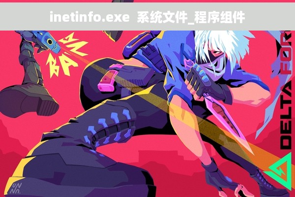 inetinfo.exe  系统文件_程序组件