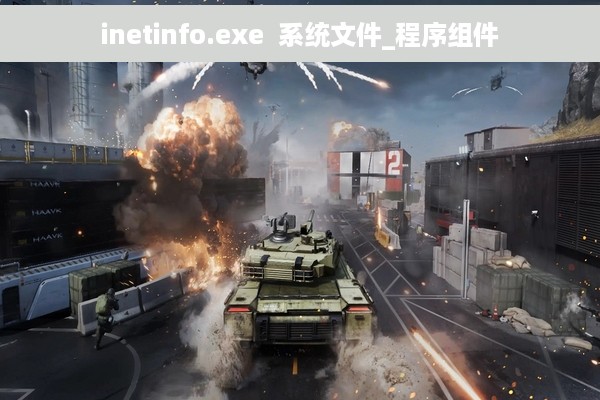 inetinfo.exe  系统文件_程序组件