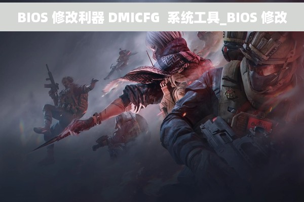 BIOS 修改利器 DMICFG  系统工具_BIOS 修改