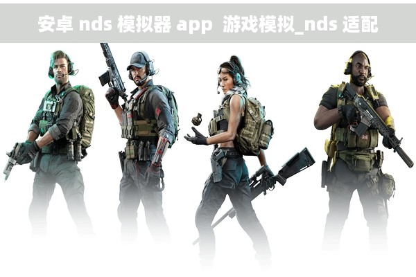 安卓 nds 模拟器 app  游戏模拟_nds 适配