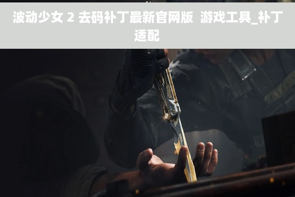 波动少女 2 去码补丁最新官网版  游戏工具_补丁适配