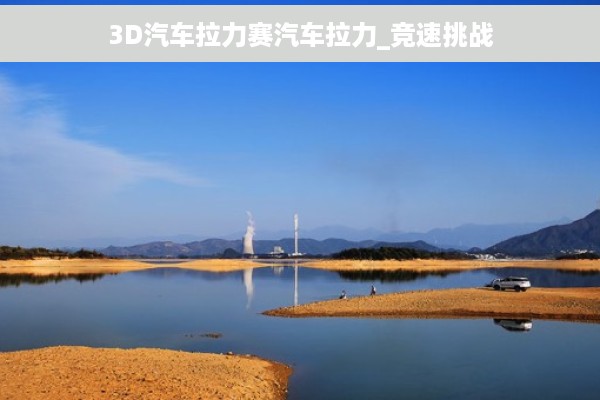 3D汽车拉力赛汽车拉力_竞速挑战